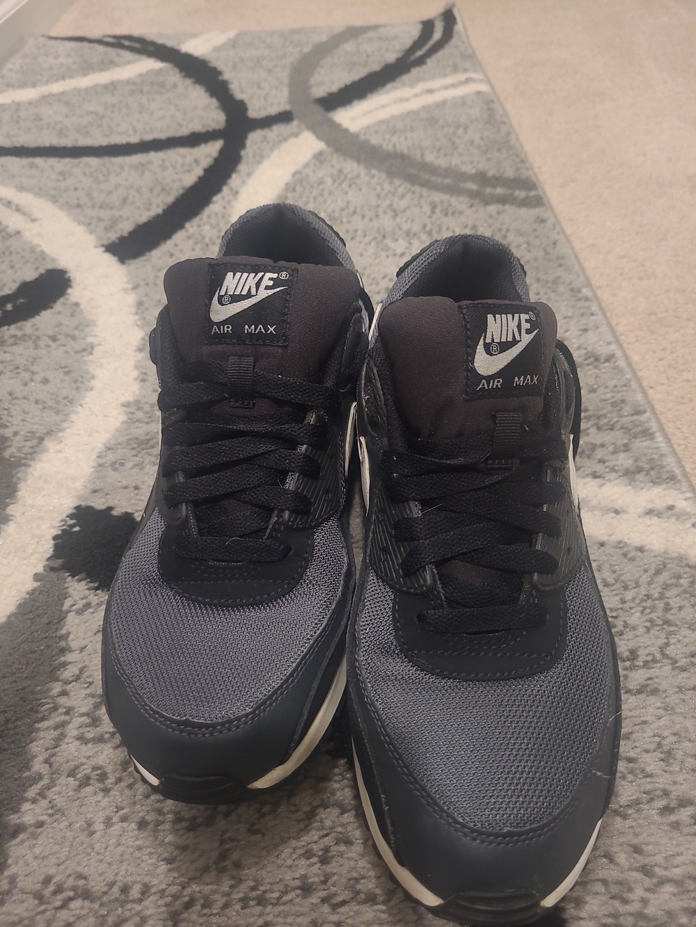 Men's Nike Air Max 90 Iron Grey/White-Dark Smoke Grey (CN8490 002) 10.5